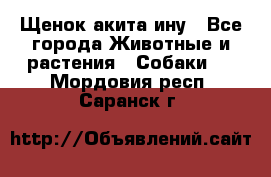 Щенок акита ину - Все города Животные и растения » Собаки   . Мордовия респ.,Саранск г.